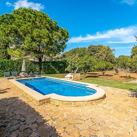 Palmeritas * Pollenca